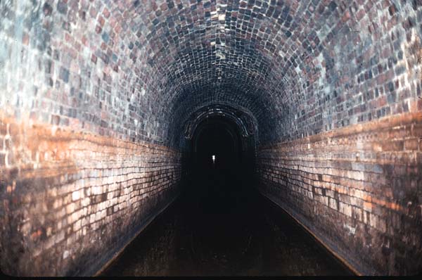 From base of ventilator shaft.